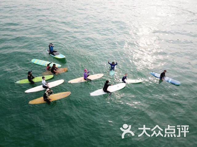 逃离外星人森林