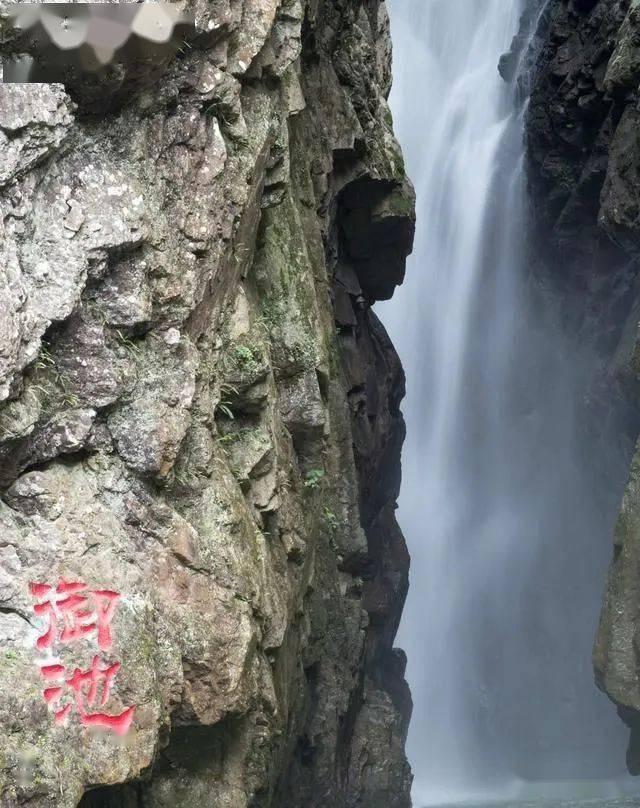 幻想森林逃生